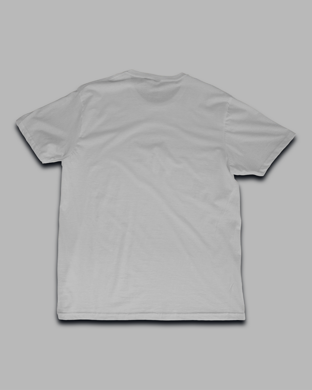 ☠️ One Piece Ship Tee