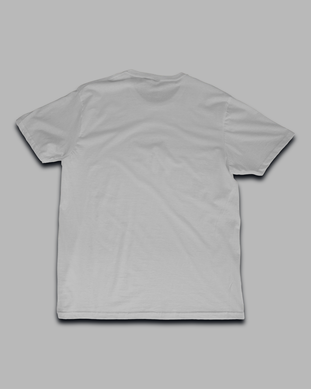 ☠️ One Piece Ship Tee